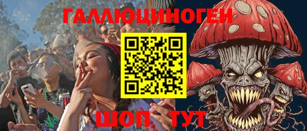 Псилоцибиновые грибы мицелий Кандалакша
