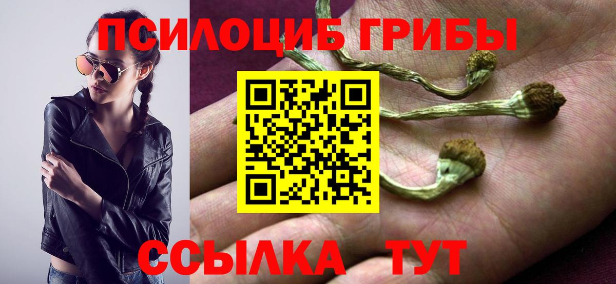 Псилоцибиновые грибы Magic Shrooms  Вход с VPN  Галлюциногенные грибы Psilocybe  Кандалакша 